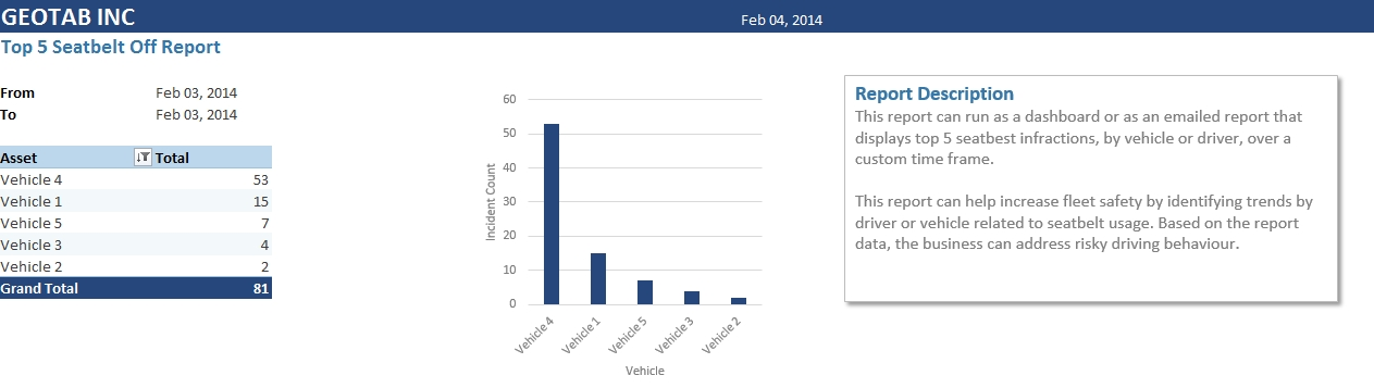 A screenshot of the Top 5 Seatbelt Violation Report showing the results of five drivers